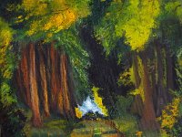 La strada nel bosco  Olio su tela - 30 x 40